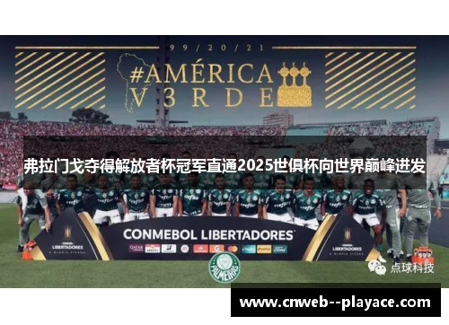 弗拉门戈夺得解放者杯冠军直通2025世俱杯向世界巅峰进发