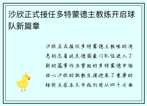 沙欣正式接任多特蒙德主教练开启球队新篇章